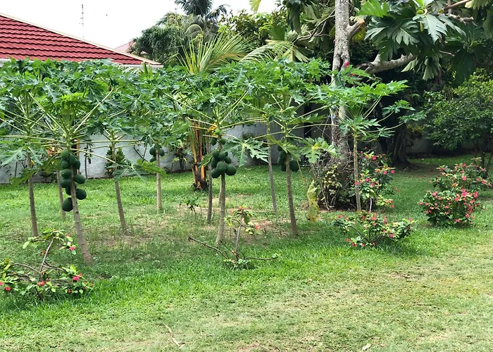 Hcs Turtle Bay Rustic Appartamento Au Cap (Mahe)